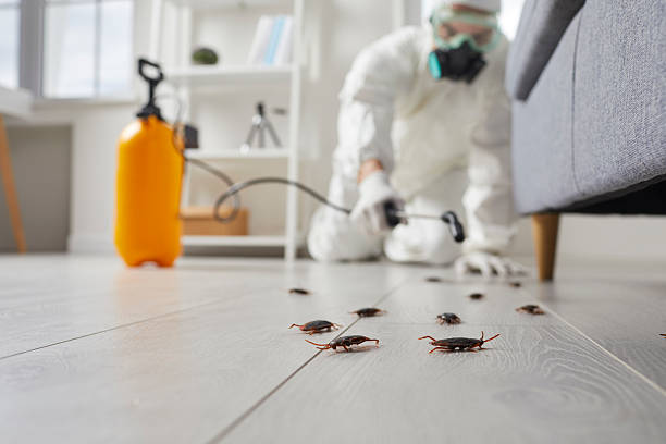 Commercial Kitchen Cockroach Control in Allentown